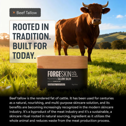 Forge Skin Beef Tallow Balm Skin Moisturizer for Men, Anti Aging Wrinkle Defense - Face & Body Skincare Hydration Cream, 100% Grass-Fed Lotion, Paraben-Free, Helps Minimize Look of Fine Lines, 1.7 oz